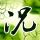 一比一原版乔治城大学文凭【degxx.com】